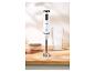 Mixeur plongeant SilverCrest 600 W sur une surface en bois.