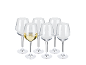 Six verres à vin, un rempli de vin blanc, sur fond noir.