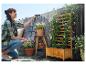 Une femme arrose des plantes dans une jardinière Parkside avec un tuyau d'arrosage.