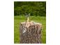 Outil multifonction avec manche en bois et divers accessoires sur une souche d'arbre.
