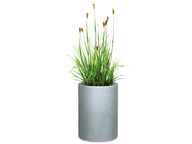 Aller en mode plein écran : Scheurich Pot à plantes haut « Riva High », plastique, rond - Image 3