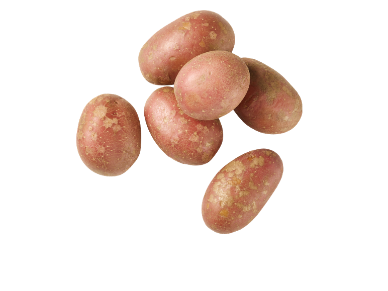 Un groupe de pommes de terre rouges à peau rugueuse sur fond noir.