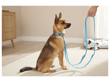 zoofari® Collier et laisse pour chiens, réglable sur 3 positions