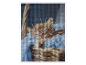 Diamant peinture : chaton roux endormi dans un panier bleu.