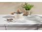 Casserole claire avec poignées en bois sur un plan de travail en marbre à côté d'une plante.