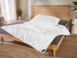 Une couette et un oreiller blancs Aloe Vera sur un lit en bois.