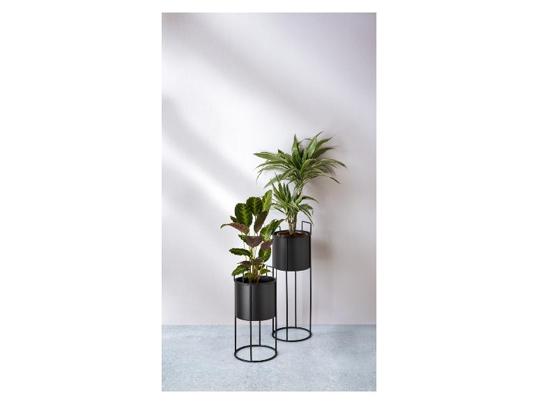 Deux supports de plantes noirs avec des plantes.