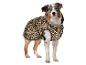 Berger australien portant un manteau pour chien imprimé léopard