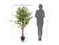 Arbre artificiel avec des feuilles vertes et blanches et des dimensions à côté d'une silhouette.