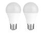 Deux ampoules LED blanches à vis.