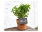 Plante de menthe dans un pot en terre cuite avec une étiquette ardoise.