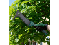 Machette de jardinage avec un gant, utilisée pour couper la végétation luxuriante.