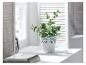 Une plante verte dans un pot blanc avec des détails décoratifs.