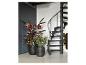 Deux pots de plantes à côté d'un escalier en colimaçon noir et d'une armoire sombre.
