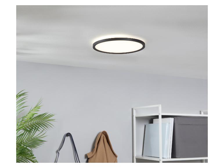 Plafonnier rond moderne au design minimaliste, installé dans une pièce avec une plante et une étagère.