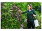 Une femme pulvérise un arbuste à fleurs roses avec un pulvérisateur à long lance.