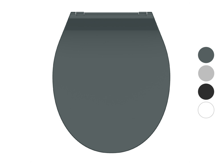 Un abattant de toilettes gris foncé avec des échantillons de couleurs.