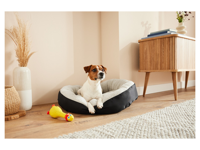 Aller en mode plein écran : Panier pour chien - Image 2