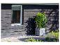 Mur en bois noir, fenêtre et pot avec plante verte à l'extérieur.