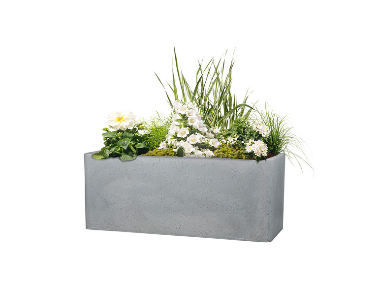 Aller en mode plein écran : Scheurich Jardinières « Cube Box », plastique, rectangulaire - Image 5