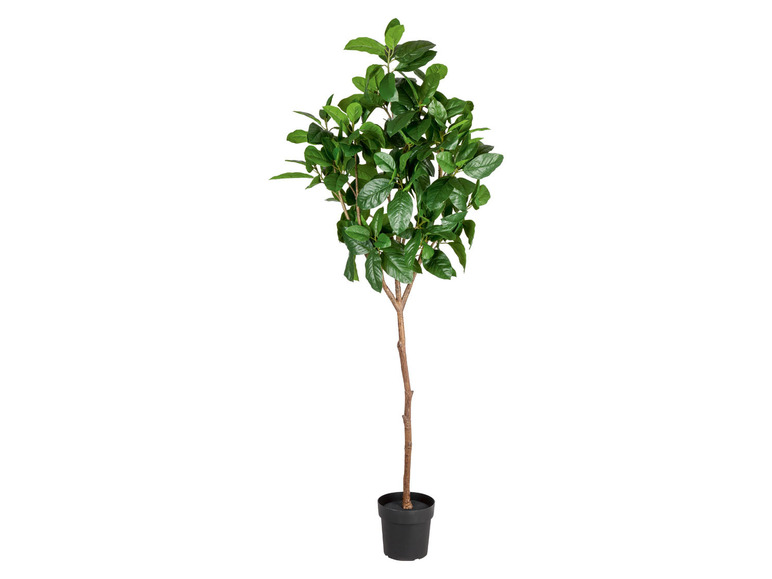 Aller en mode plein écran : LIVARNO home Plante artificielle magnolia, 190 cm - Image 1