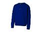 Sweat-shirt bleu Crivit pour homme.