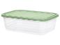 Récipient en plastique transparent avec couvercle vert