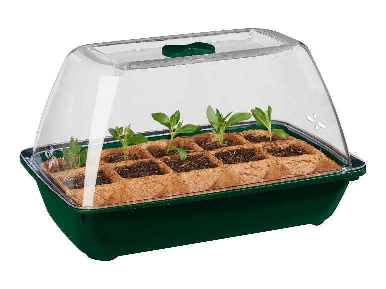 Une caisse de semis verte avec un couvercle transparent pour cultiver des jeunes plants.