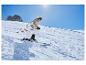 Un skieur en tenue blanche descend une pente enneigée.
