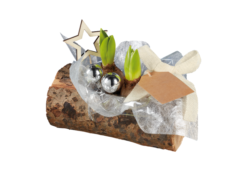 Décoration de Noël avec jacinthes, boules argentées et étoile en bois sur une bûche.