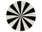 Un cercle noir et blanc avec des lignes radiales.