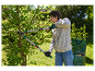 Une personne utilise un sécateur Parkside pour tailler un arbre dans le jardin.
