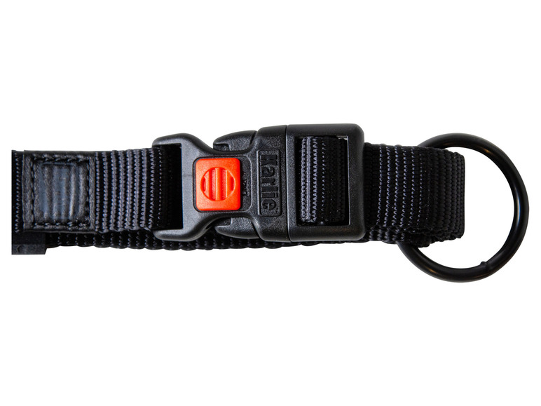 Aller en mode plein écran : Collier avec laisse - Image 41