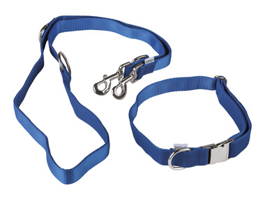 zoofari® Collier pour chien avec laisse
