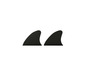 Deux ailerons de surf noirs.