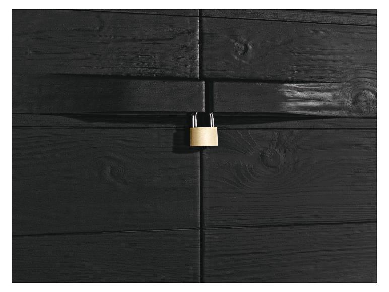 Cadenas doré sur une porte en bois noir