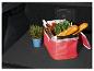 Panier isotherme rouge, baguettes, herbes aromatiques et tapis de coffre de voiture.
