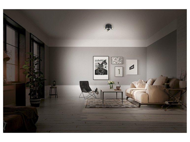 Aller en mode plein écran : LIVARNO home Plafonnier à LED à 3 spots, 4,8 W - Image 8