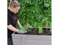 Une femme plante des légumes dans une jardinière en bois Habau.