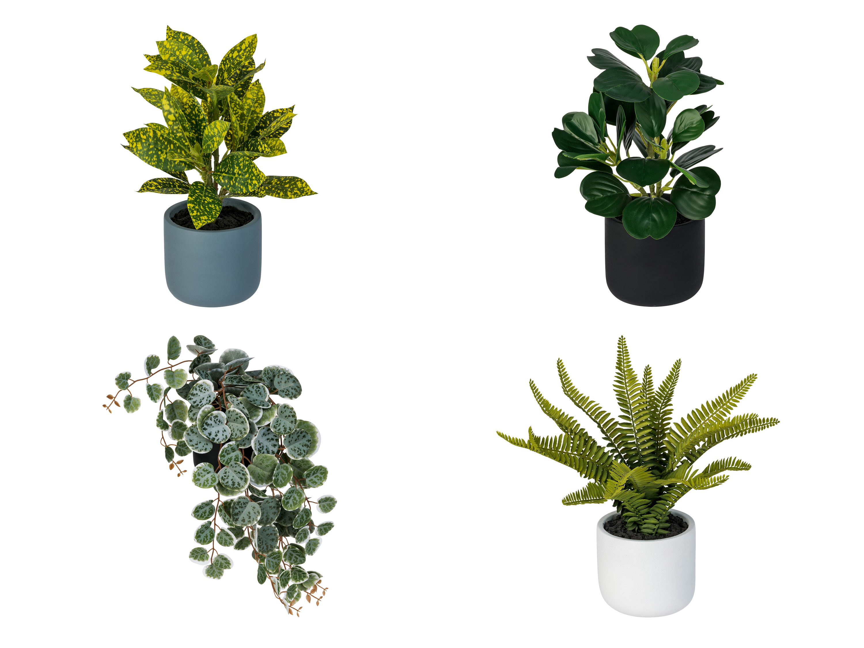 LIVARNO home Plante artificielle
