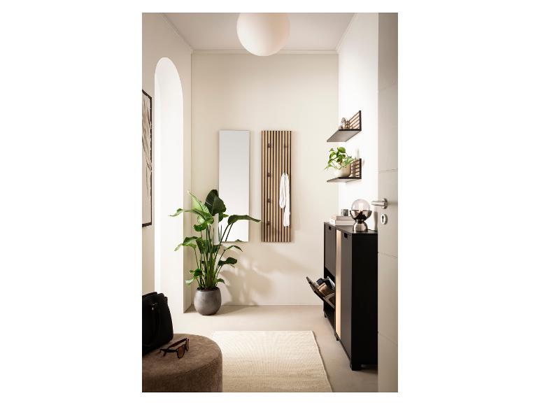 Hall d'entrée avec meuble à chaussures, miroir, porte-manteau, étagères et grande plante verte.