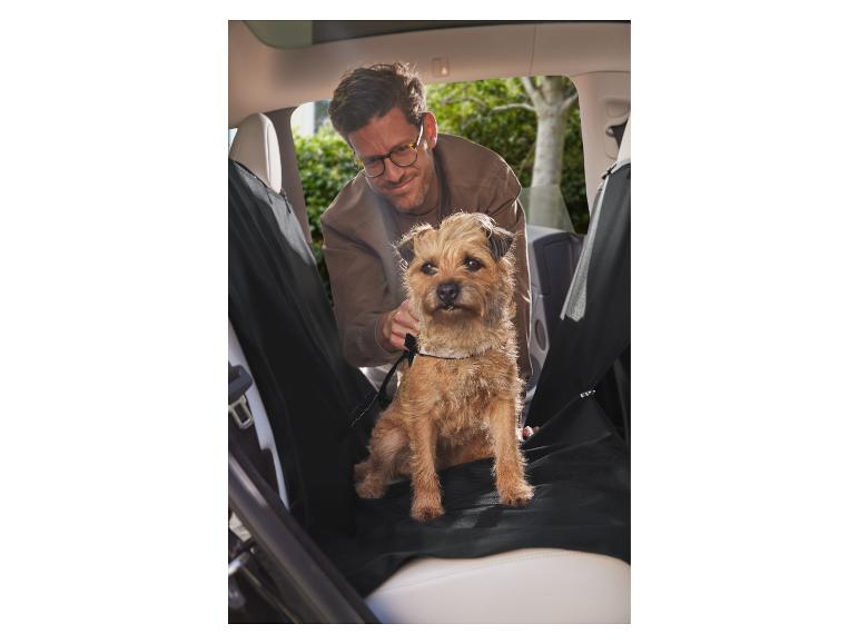 Un homme attache son chien à une ceinture de sécurité dans une voiture.