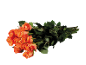 Bouquet de roses oranges avec des feuilles vertes sur fond noir.