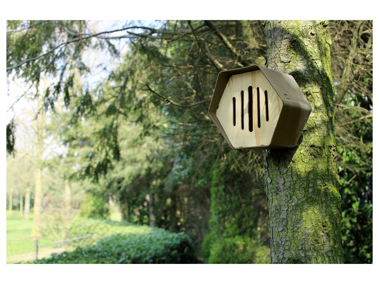 Hôtel à insectes hexagonal sur un tronc d'arbre dans un jardin ensoleillé.