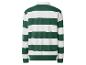 Maillot de rugby à manches longues rayé vert et blanc, vue de dos.