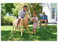 Deux enfants jouent avec un cheval en bois dans le jardin.
