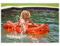 Femme souriante sur un flotteur orange transparent dans une piscine.