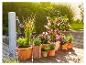 Arrosage automatique et plantes en pot : Gardena, fleurs, herbes.