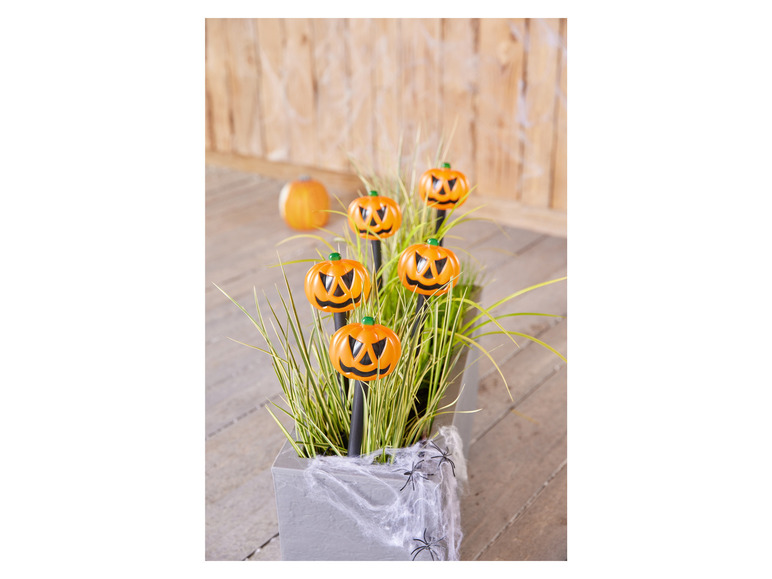 LIVARNO home Lampes LED sur piquet Halloween 2