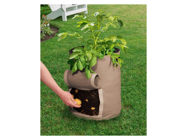 Aller en mode plein écran : PARKSIDE® Lot de 2 sacs à plantes en non-tissé - Image 24